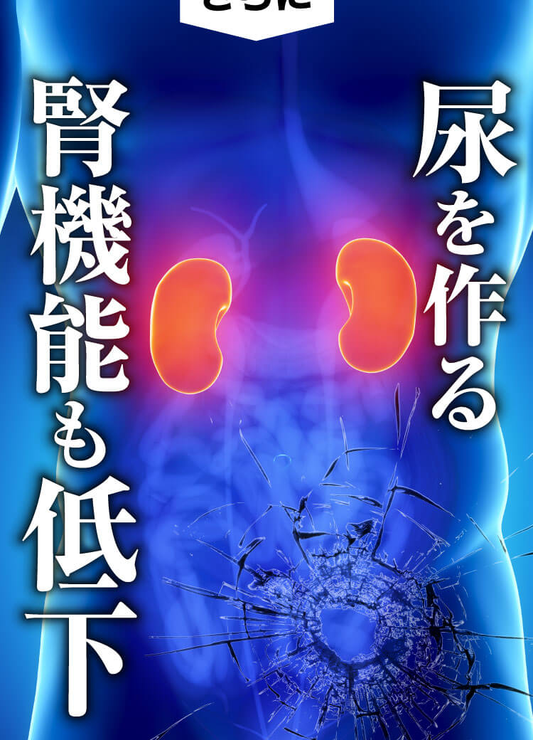 尿を作る腎臓機能も停止