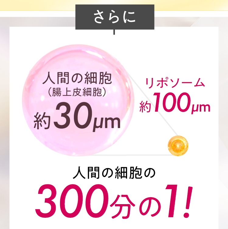 リポソームビタミンCは人間の細胞の300分の1の大きさ