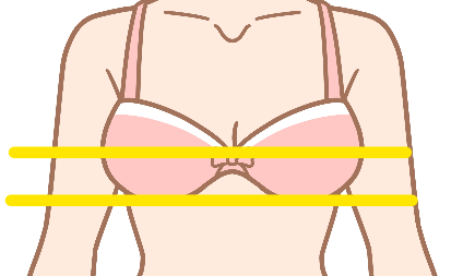 バストの位置