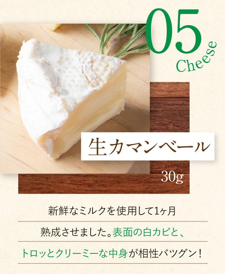 チーズ5