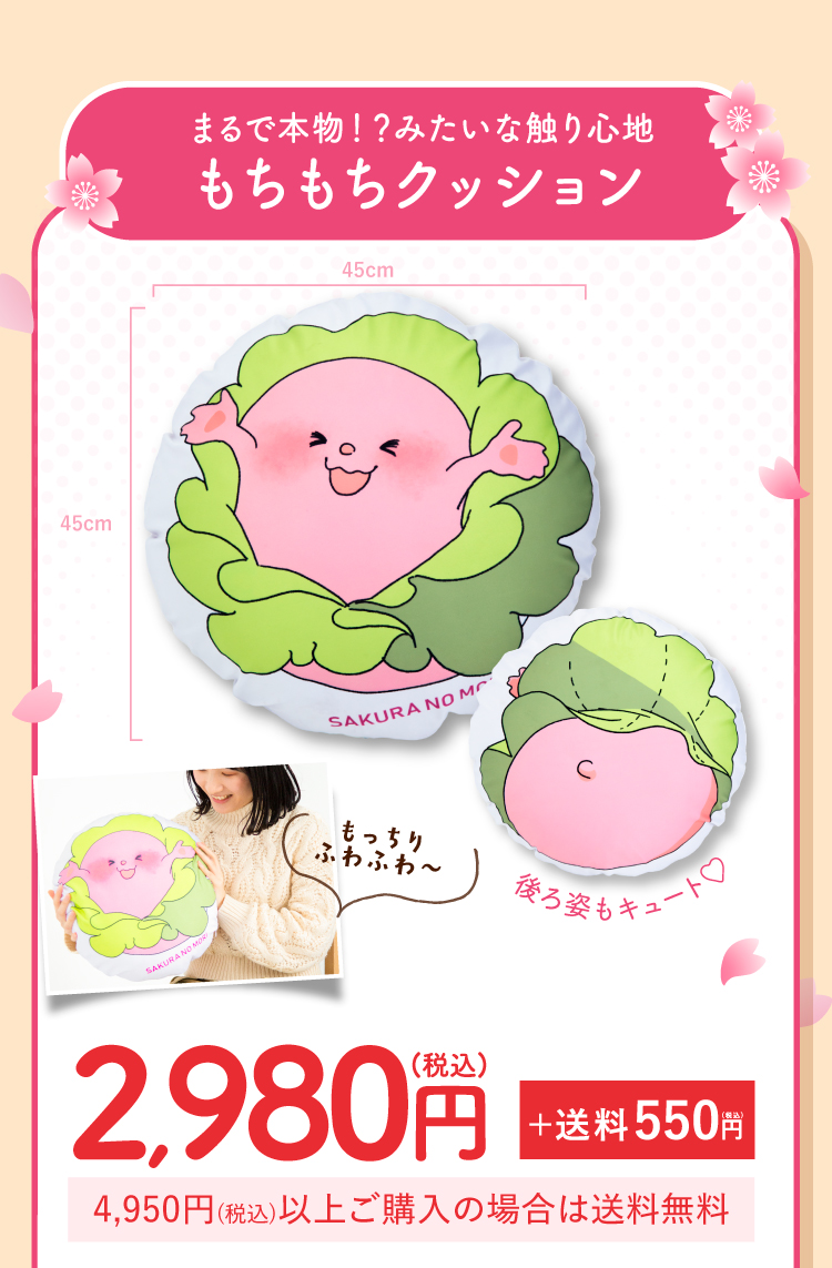 まるで本物みたい！もちもちクッション