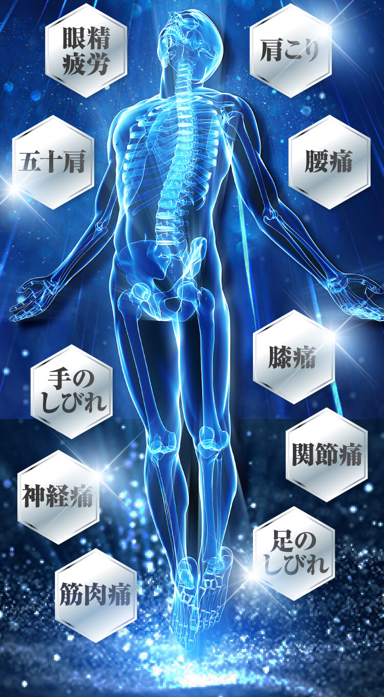 関節痛、神経痛、腰痛、眼精疲労。