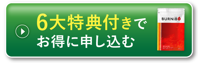 6大特典付きでお得に申し込む