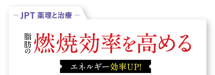 脂肪の燃焼効率を高める