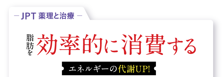 脂肪を効率的に消費する