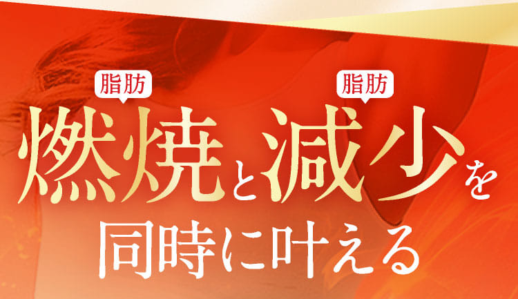 脂肪燃焼と脂肪減少を同時に叶える