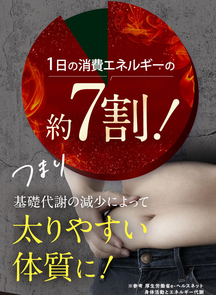 1日の消費エネルギーの約7割!