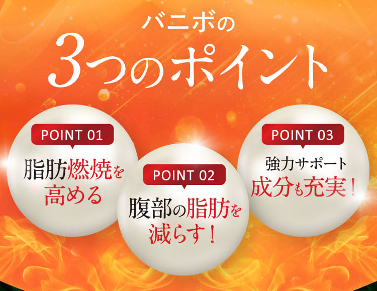バニボの3つのポイント