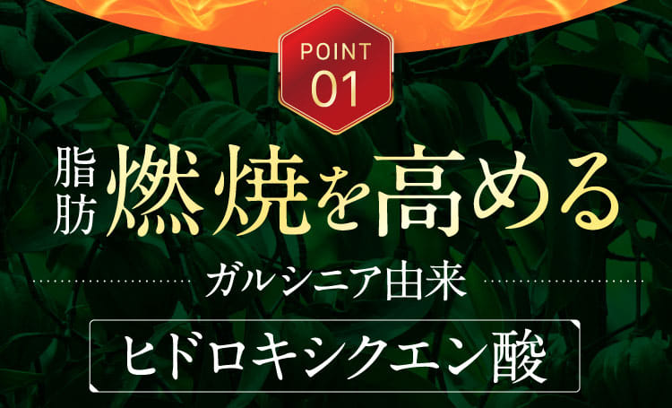 POINT01脂肪燃焼を高める