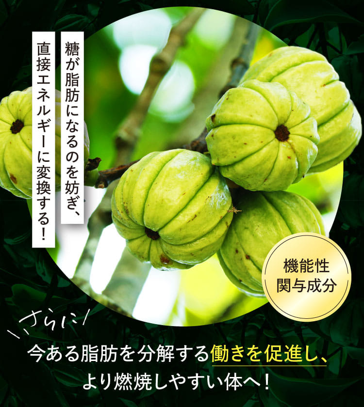糖が脂肪になるのを妨ぎ、直接エネルギーに変換する！