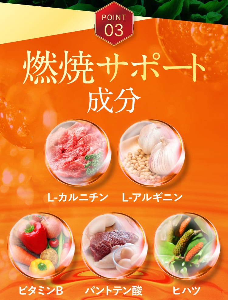POINT03燃焼サポート成分