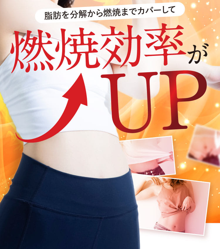 脂肪を分解から燃焼までカバーして燃焼効率がUP