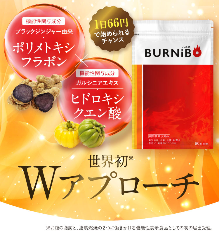世界初※Wアプローチ