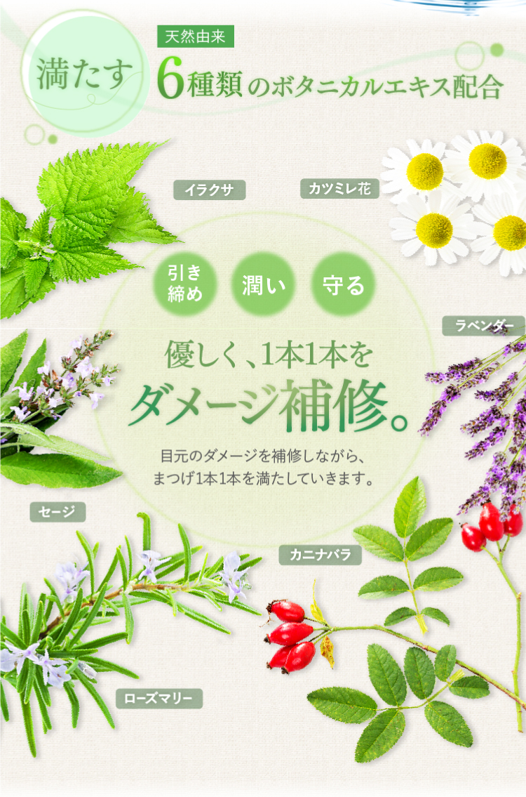 潤う、守る、引き締める、ボタニカル成分でダメージ補修