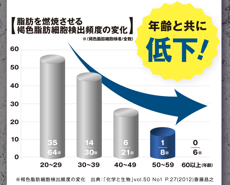 燃焼効率グラフ