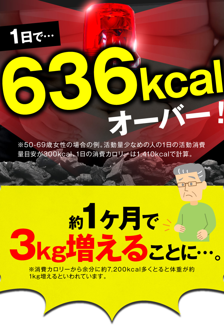 636kcalオーバー