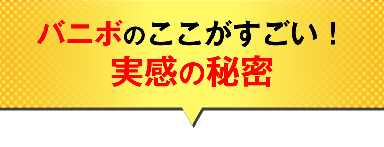 バニボのここがすごい