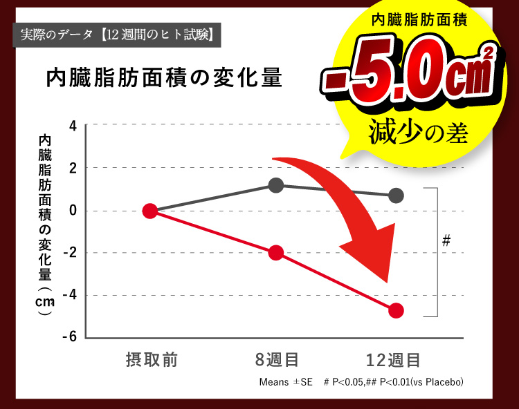 内臓脂肪面積減少