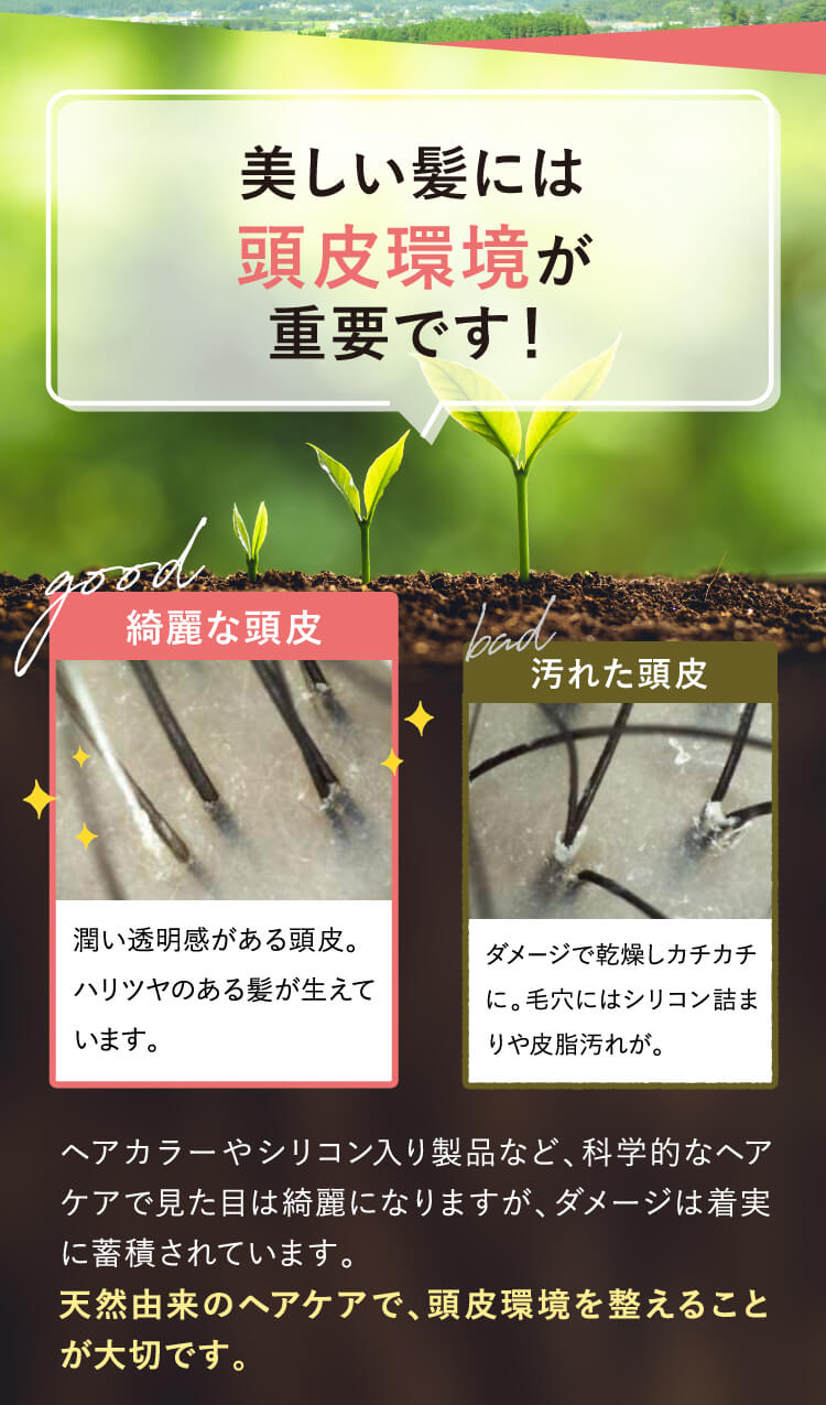 健康な頭皮と汚れた頭皮