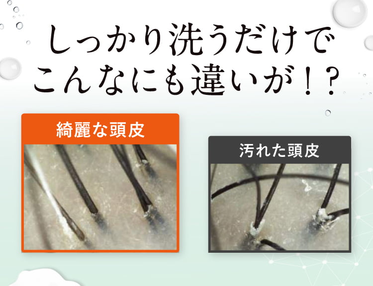 こんなに洗うだけで違いが