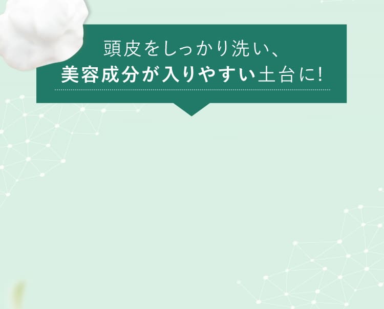 美容成分が入りやすい土台に