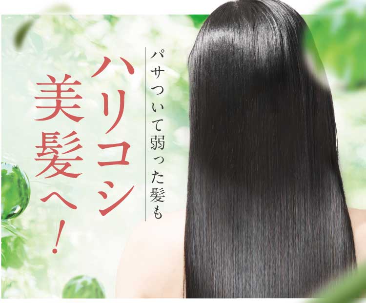 ハリコシ美髪