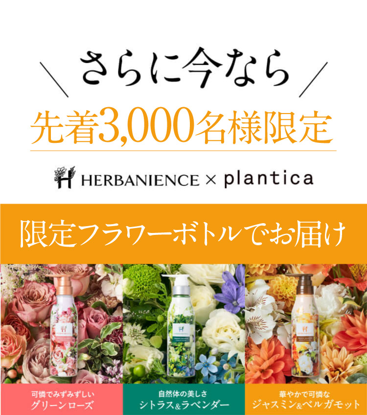 先着3,000名様限定