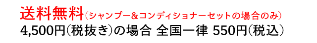 送料詳細