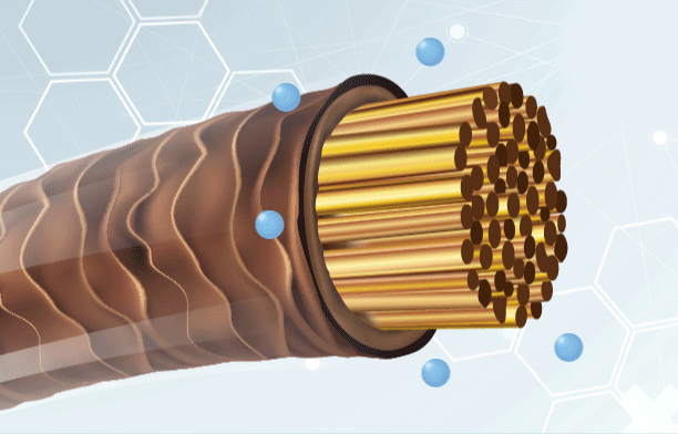 髪に入る動画01