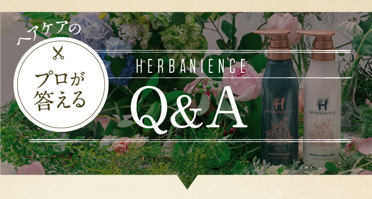 Q&A