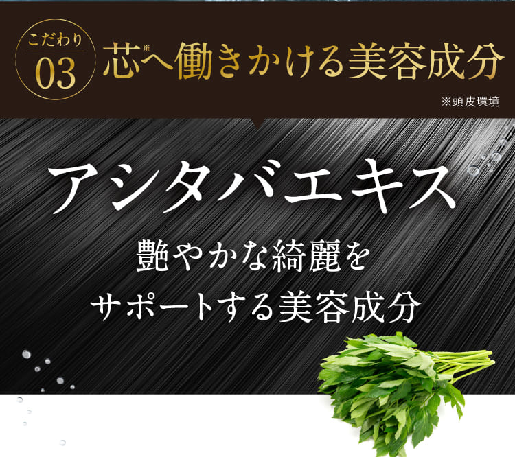 03.芯へ働きかける美容成分