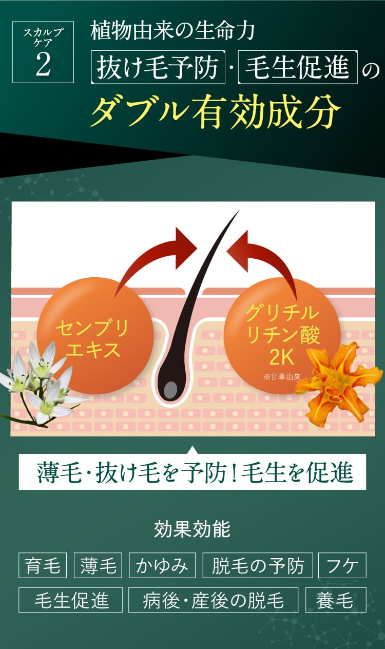 植物由来の生命力ダブル有効成分