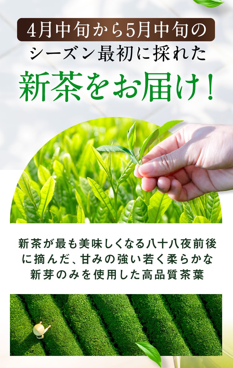 新茶をお届け