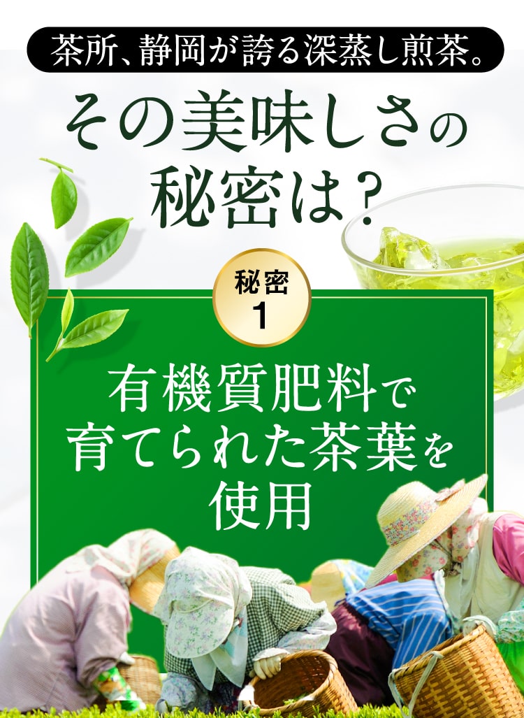 美味しさの秘密1有機質肥料で育てられた茶葉を使用