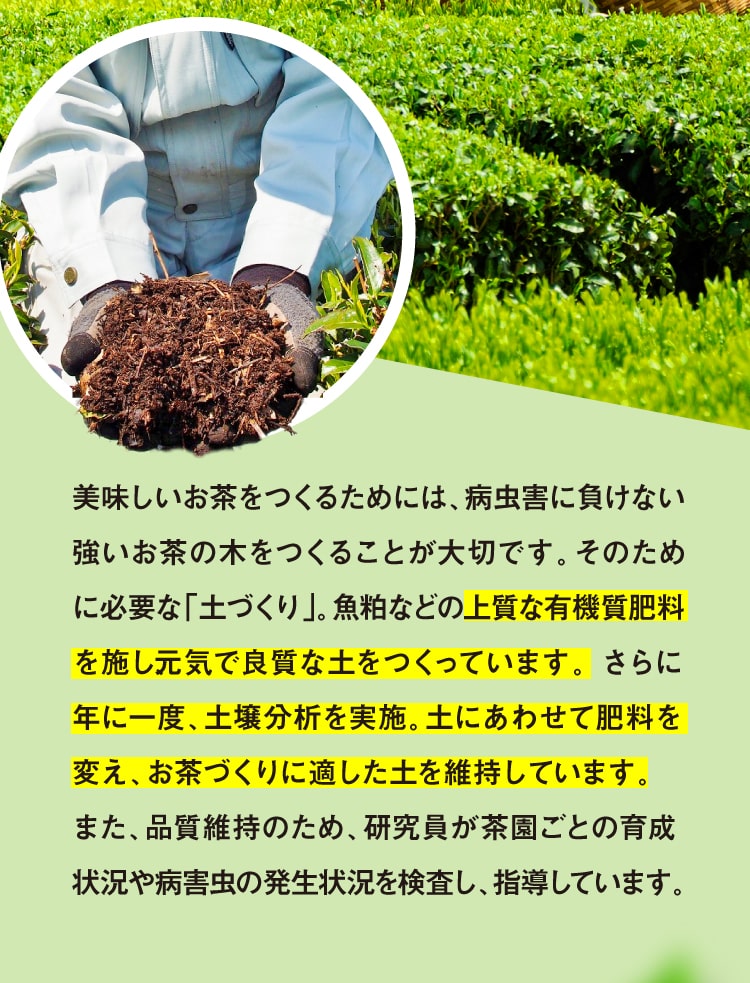 年に1度土壌調査