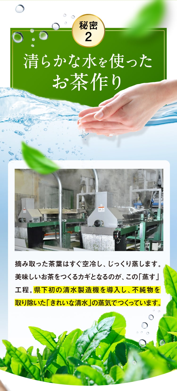 美味しさの秘密2清らかな水を使ったお茶づくり