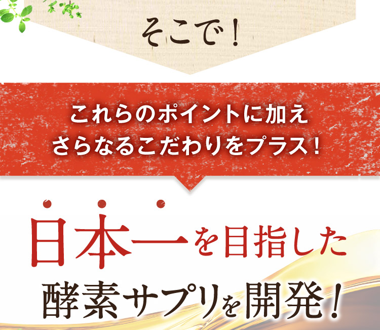 日本一を目指した！酵素サプリを開発！