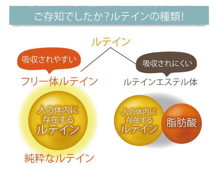 ご存じでしたか？ルテインの種類