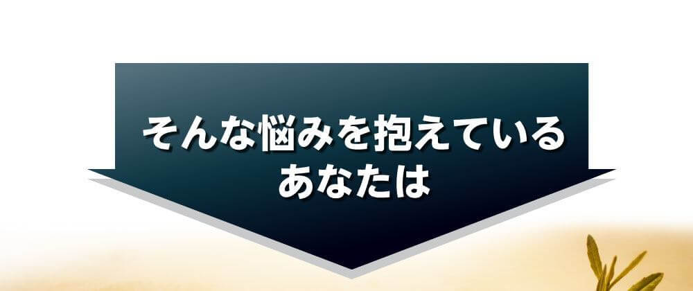 そんな悩みを抱えているあなたは