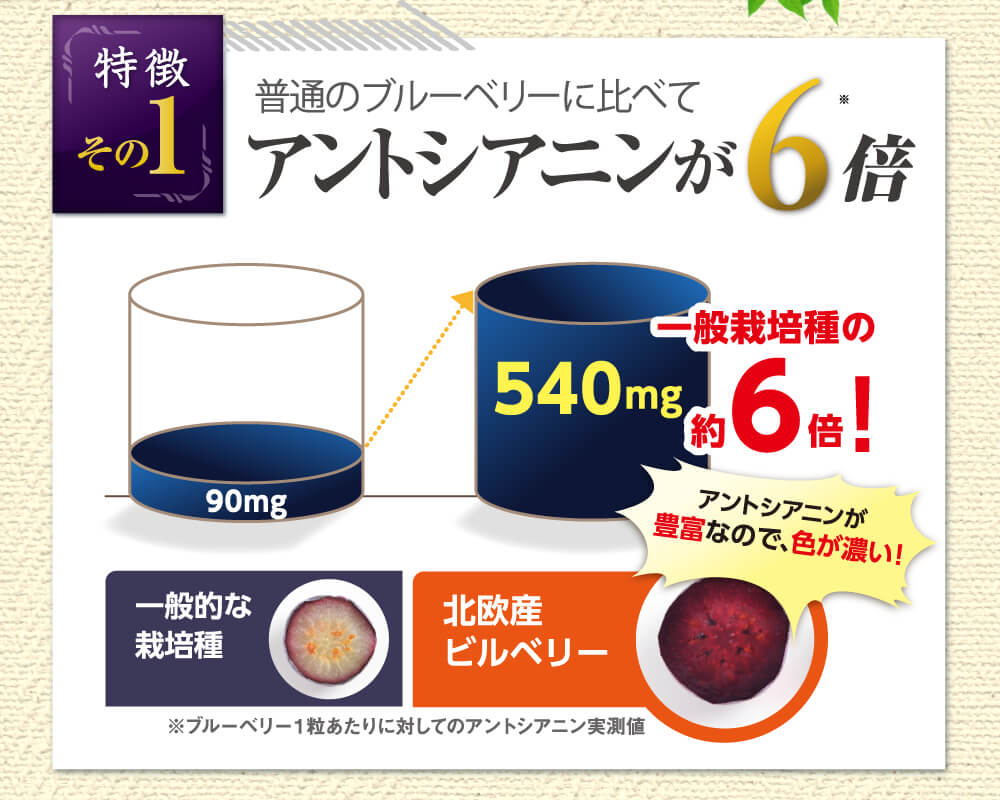 アントシアニンが5倍