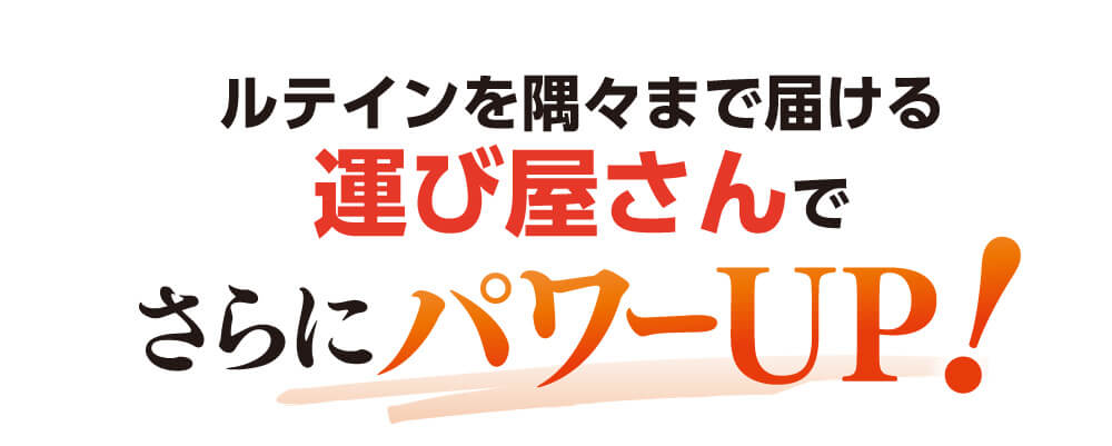 強力なサポート成分の相乗効果でさらにパワーアップ