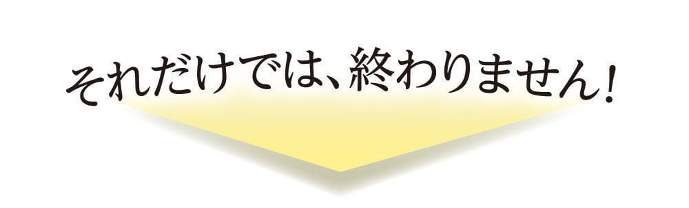 それだけでは終わりません