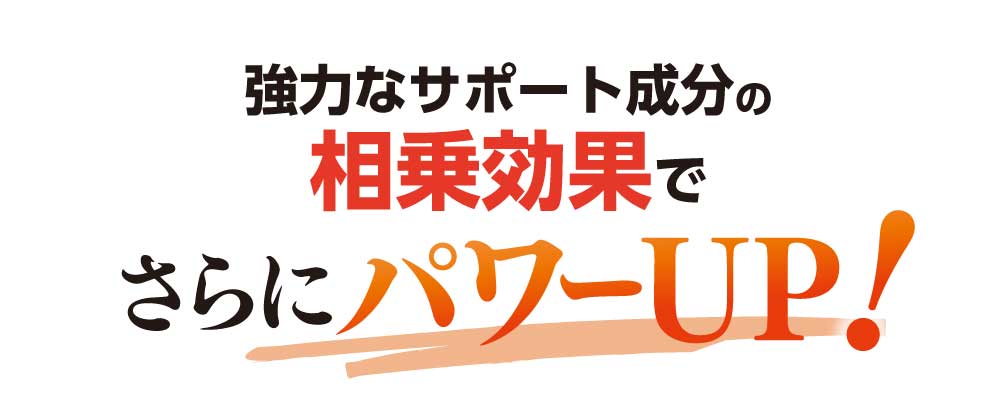 強力なサポート成分の相乗効果でさらにパワーアップ