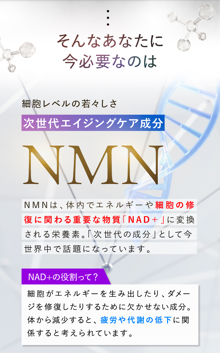 芋を割って蜜があふれる画像