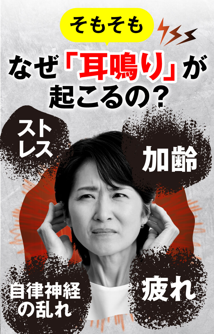 耳鳴りの原因は、加齢、ストレス、自律神経の乱れ、疲れ