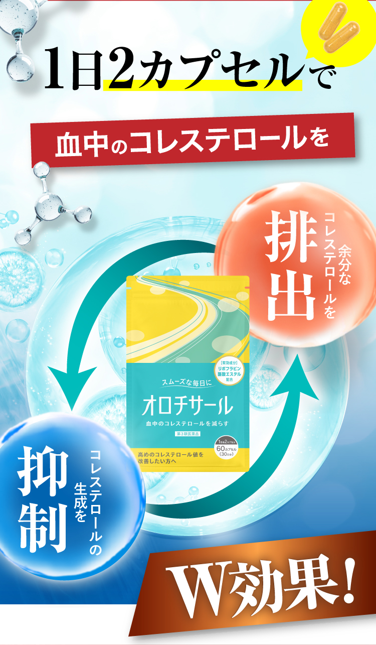 W効果！血中のコレステロールを抑制・排出