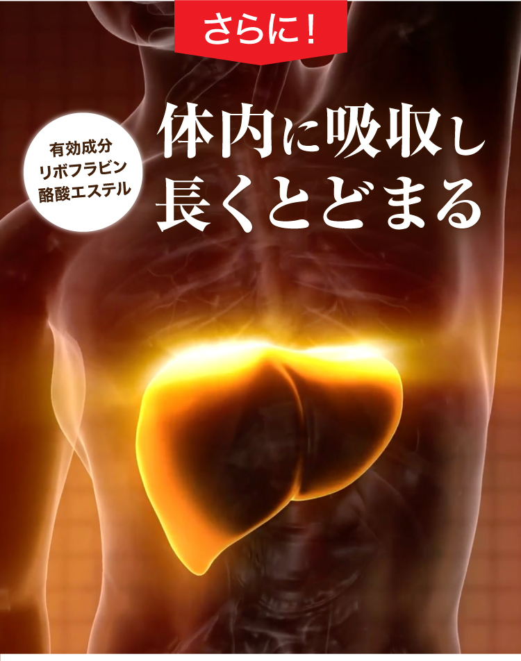 さらに有効成分リボフラビン酪酸エステルが体内での吸収率が高く長くとどまる