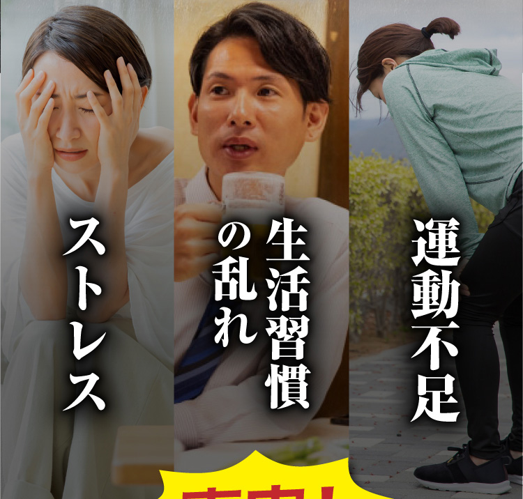 オロチサールでコレステロールを改善