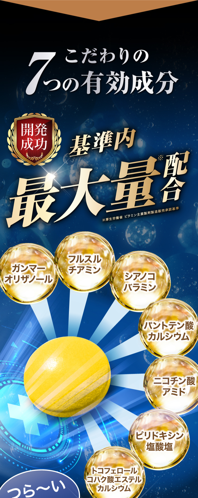 7つの有効成分最大量配合