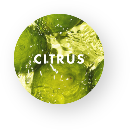 CITRUS